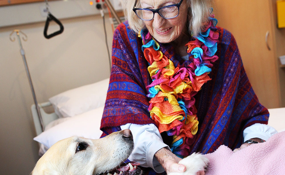 Devoted dogs bring joy to patients at Bunbury